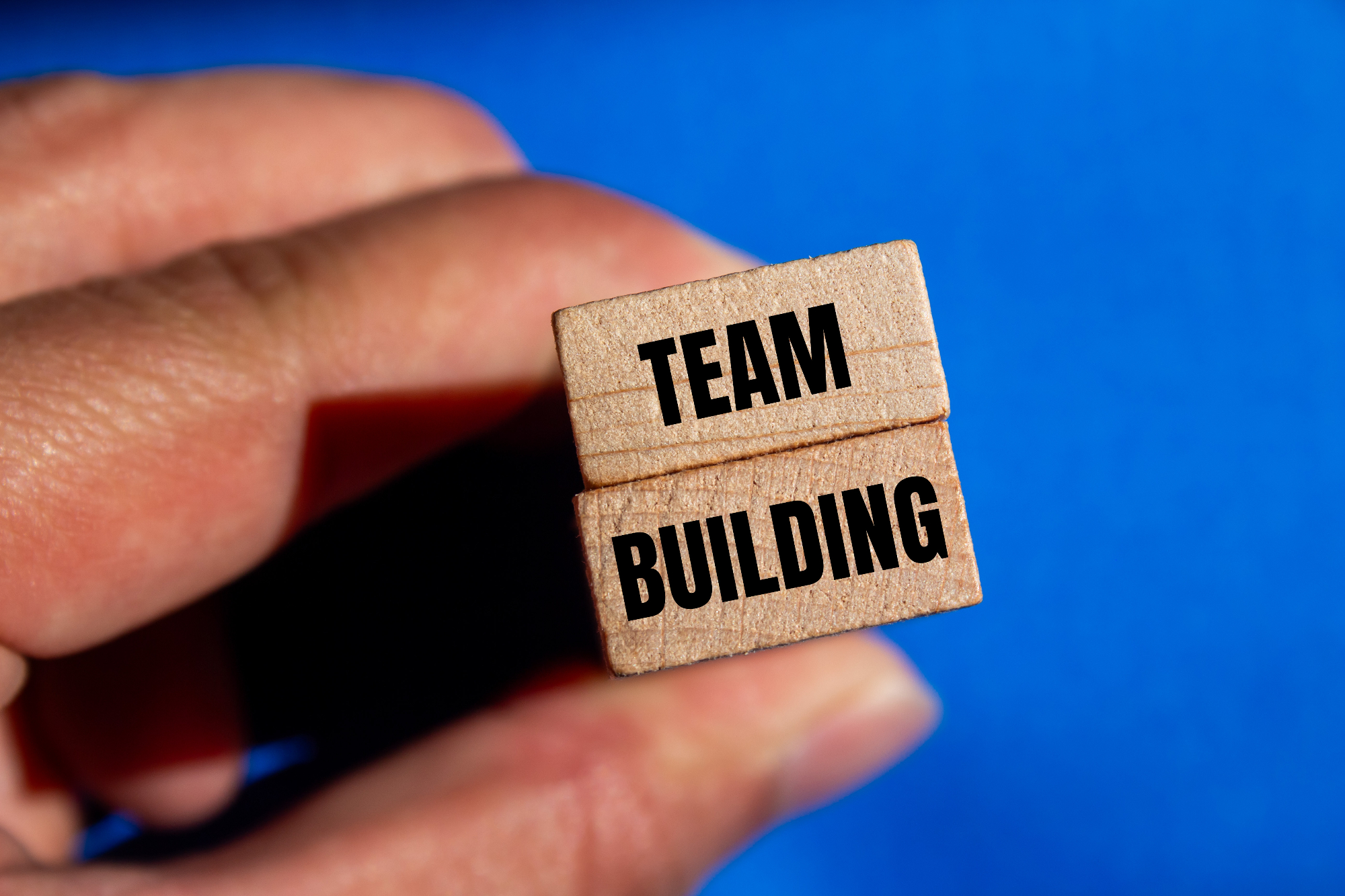 Zelo drugačen in sproščujoč team building ki ga nismo pričakovali