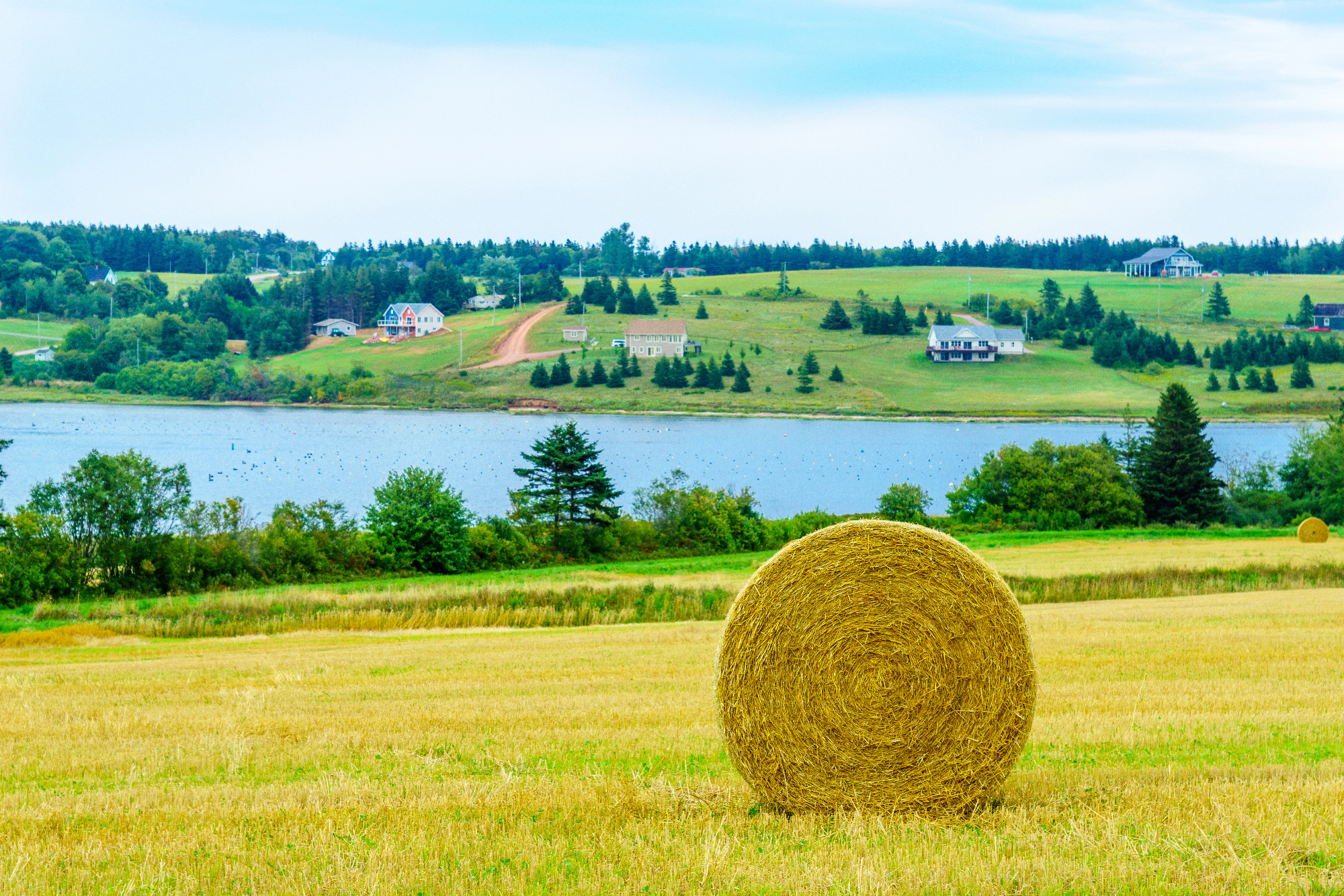 Za kvalitetno krmo je balirka skoraj nujno potrebna